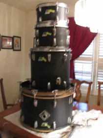 Ludwig Black Panther