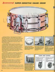 The age of a Ludwig super sensitive