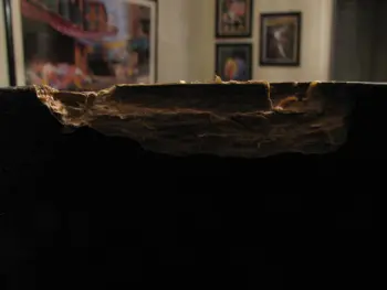 Remo Djembe in critical condition! Help!