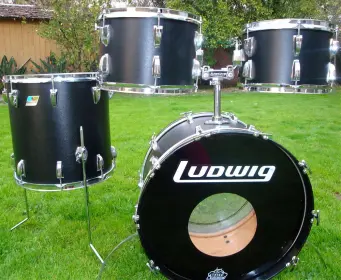Ludwig Black Panther