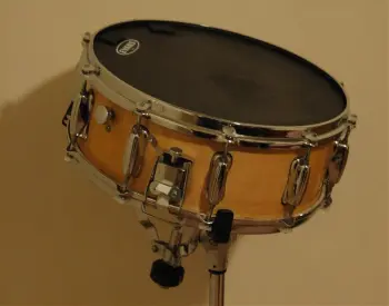 Slingerland 10-lug Maple Snare
