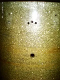 Which brand is my floor tom?