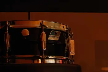 Ludwig Black Beauty ?