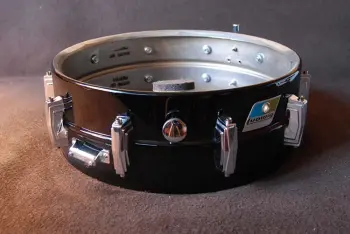 Ludwig Black Beauty ?