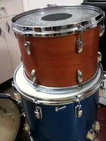 WTB: Gretsch late 50's Ride Tom in Gold sparkle