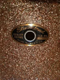 60's Slingerland BD 20x14 Champagne sparkle.  Super nice!!