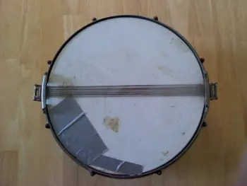 Ludwig and Ludwig-Look What I Got Today!