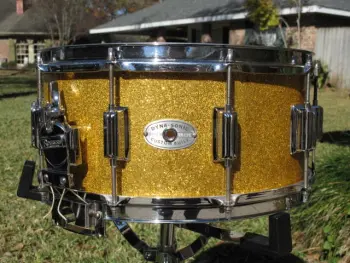 It's the &quot;show off your Rogers drums&quot; thread!