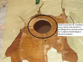 Need advice on shell repair...