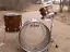 tama royalstar brazilian zebra