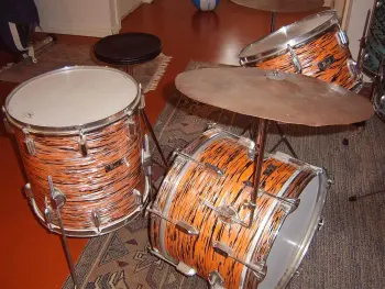pearl tiger stripe