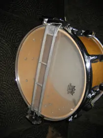 Maple Dynasonic