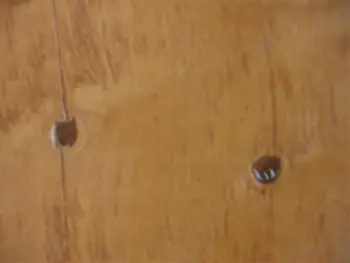repairing or caring for splits in inner ply of 1952 Gretsch bassdrumshell