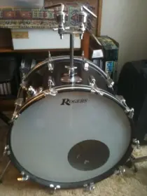 Little help with a Rogers kit