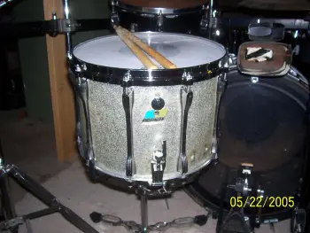 Ludwig snares