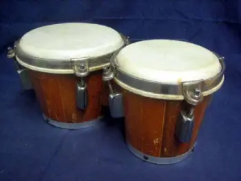 Name these Bongo's