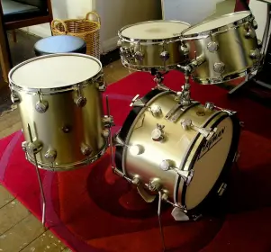 just picked up this Hayman kit