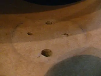 Help Identify These Please