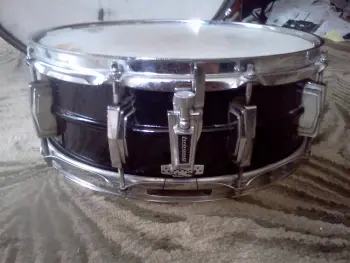 Ludwig Black Beauty????