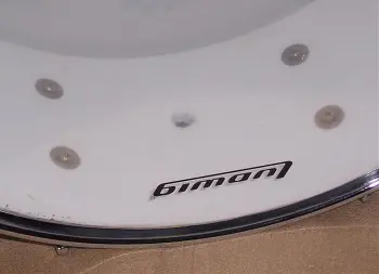 Oyster Black Pearl Ludwig Snare