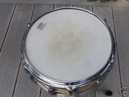 50's Sonor Snare