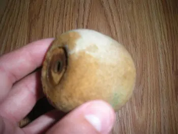 Cleaning old bass drum beater?
