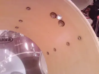Rogers Drums