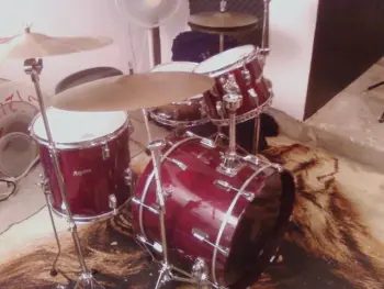 Rogers Drums