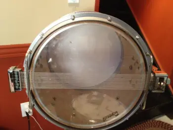 Ludwig Guy's ? on stainless shells