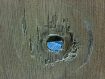 Should I Reinforce the Soft Spot Around the Bass Drum Spur Hole?