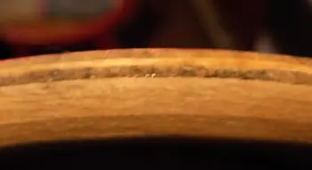 Unknown snare!