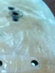 Blue residue