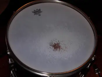 Remo coated skins quality issue?