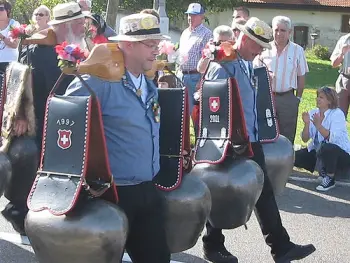 cowbells??