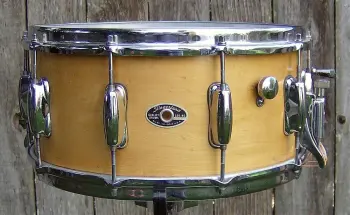 Slingerland Nashville era Radio Kings...........