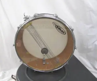 Tawana Wellington snare