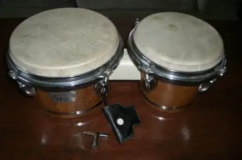 MInt Star Bongos