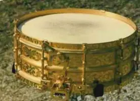 Check This Out!!! Ludwig Gold Black Beauty