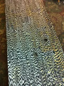 1960s Rogers Black Onyx Wrap For Sale