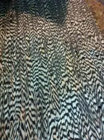 1960s Rogers Black Onyx Wrap For Sale