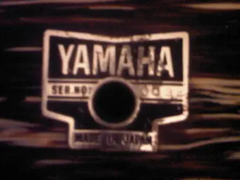 Yamaha D-20? Serial number 0034