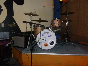 Ludwig Kit At Holloween Party