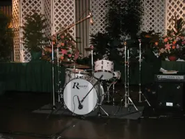 Rogers Holiday Bass head!!