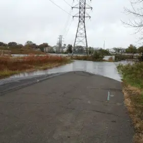 Storm Updates