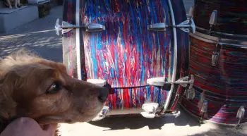 Im psyching over this Psychedelic red mistery!!!...Help!