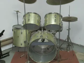 Ludwig Identification