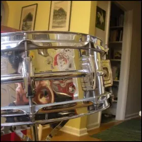 Ludwig COB