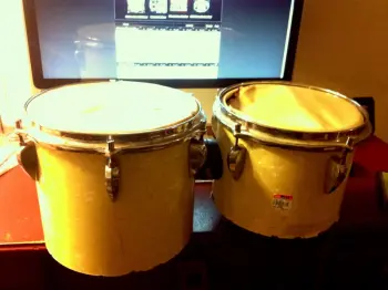 For $19.99 at Goodwill... Sonor?