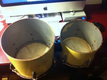 For $19.99 at Goodwill... Sonor?