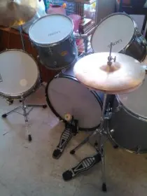 Laurel drums